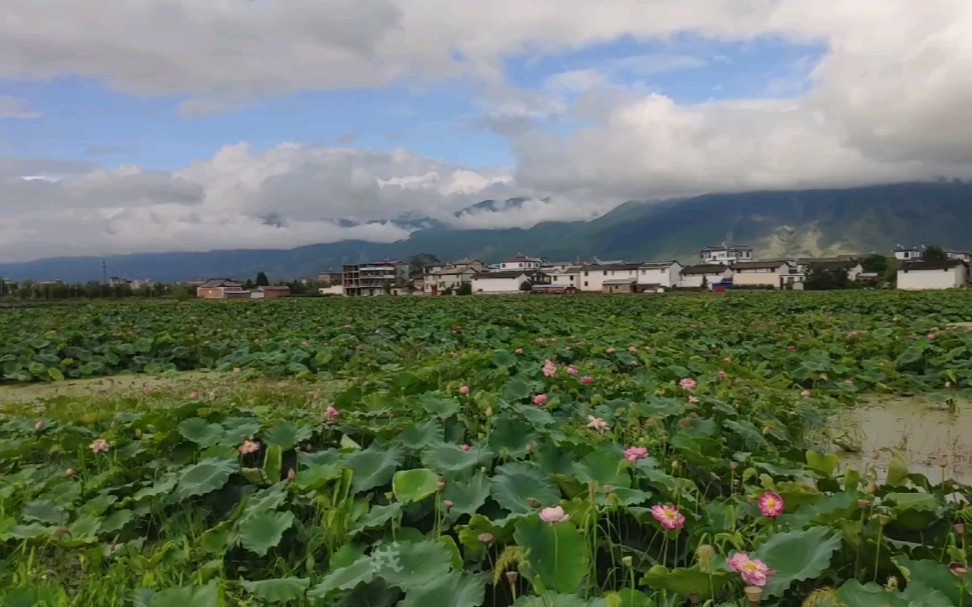 [图]好家风系列-我爱我家