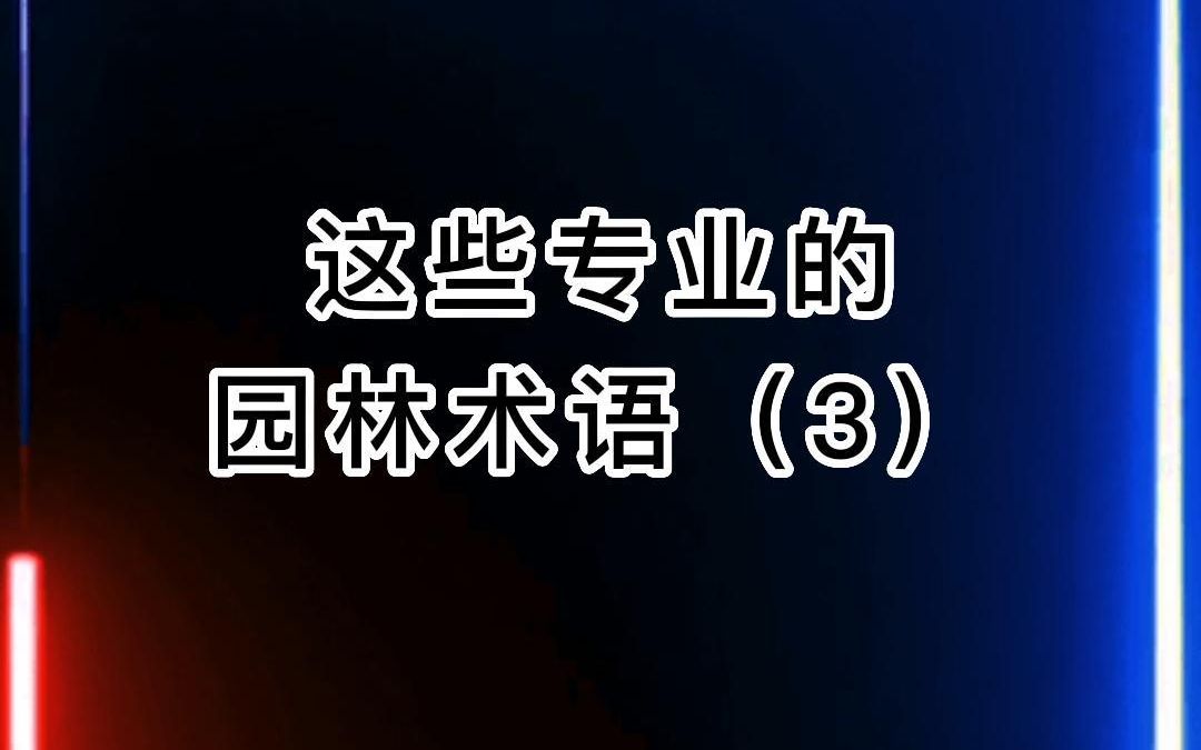 这些专业名词,你能明白是什么意思吗?哔哩哔哩bilibili