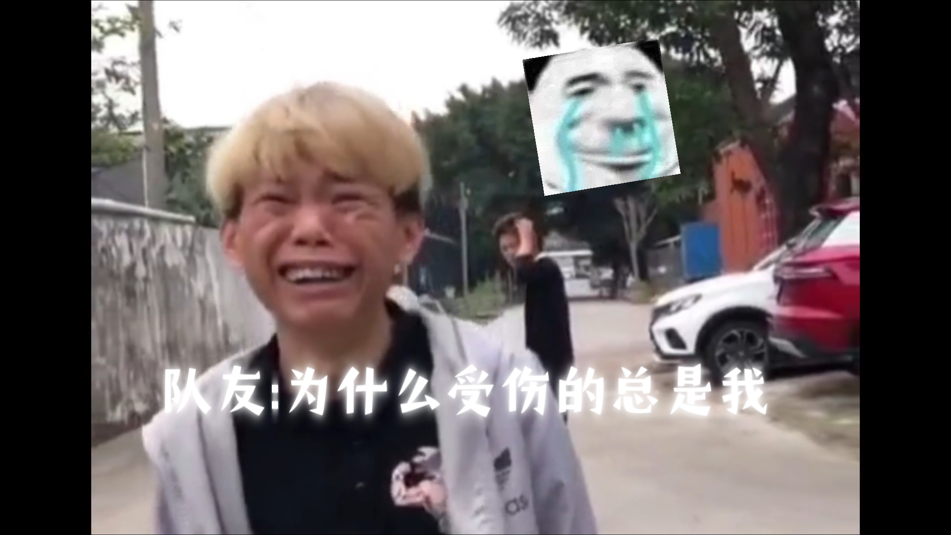 为什么受伤的总是我图片为什么在线