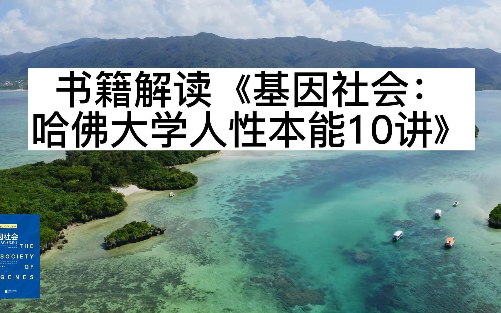 书籍解读|《基因社会:哈佛大学人性本能10讲》哔哩哔哩bilibili