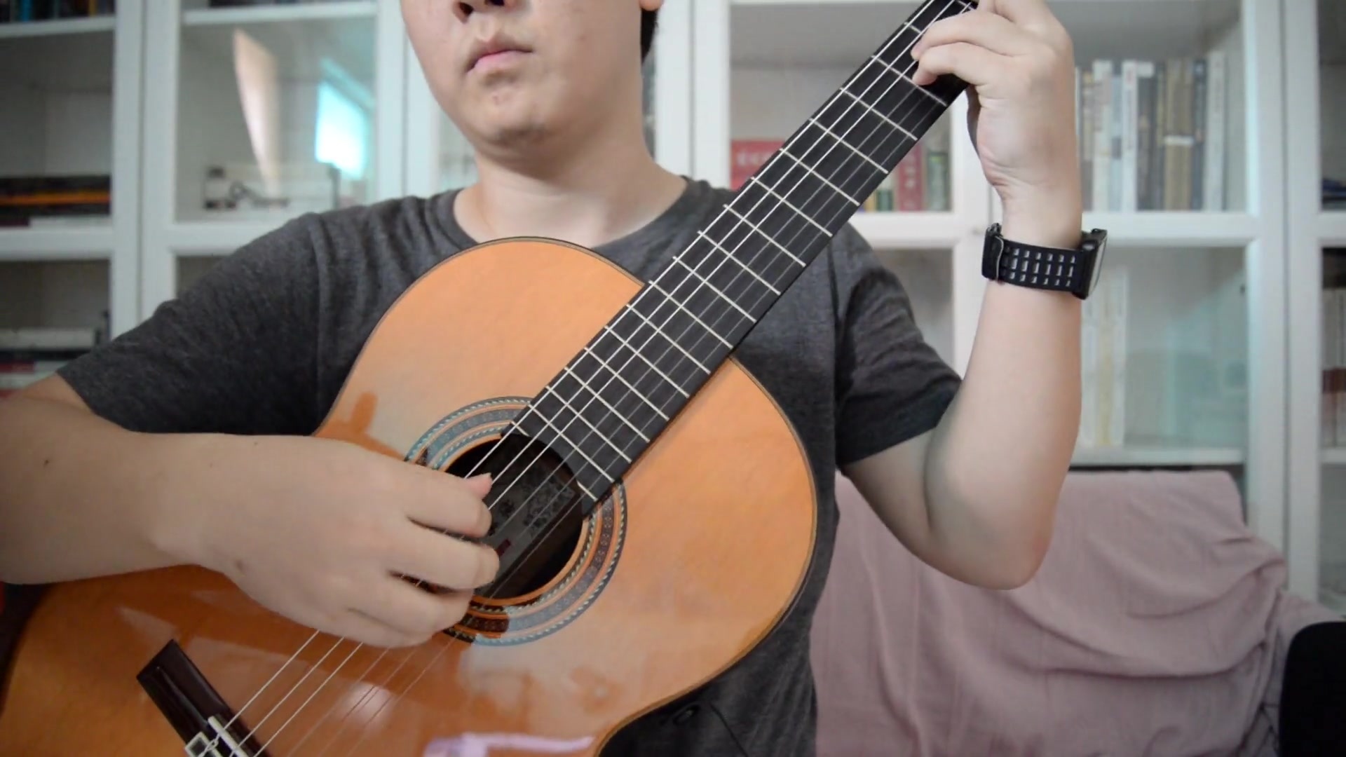 [古典吉他翻弹]fernando sor op.35 no.22/月光