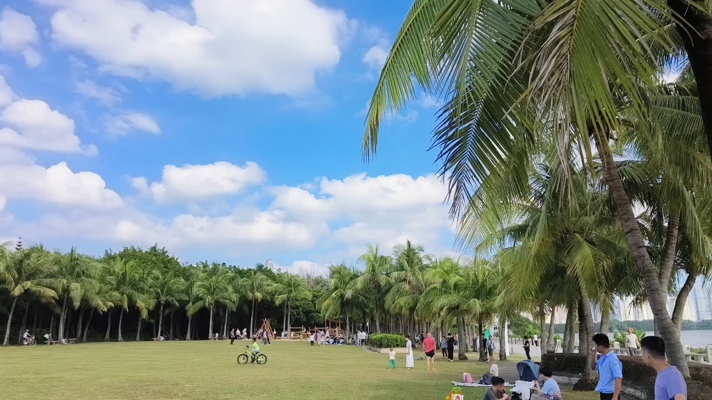 深圳湾公园太美了