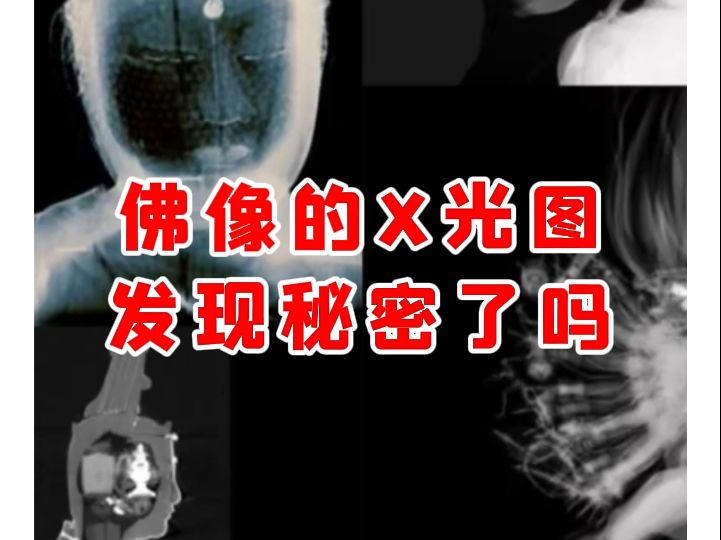 【微拍堂】佛像的X光图,发现秘密了吗?哔哩哔哩bilibili