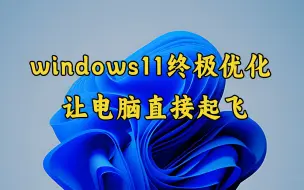 Download Video: win11系统终极优化，全套做完提速200%，让你的电脑直接起飞！