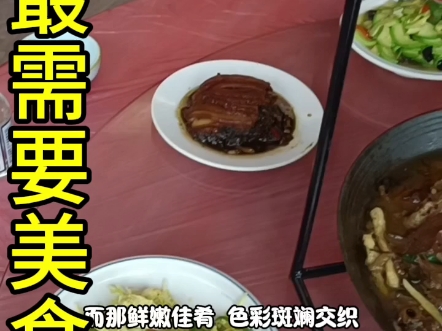 旅游最需要美食盛宴哔哩哔哩bilibili