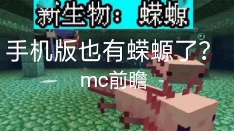 我的世界1 17版本即将更新新生物蝾螈 山羊加入 Minecraft中文分享站