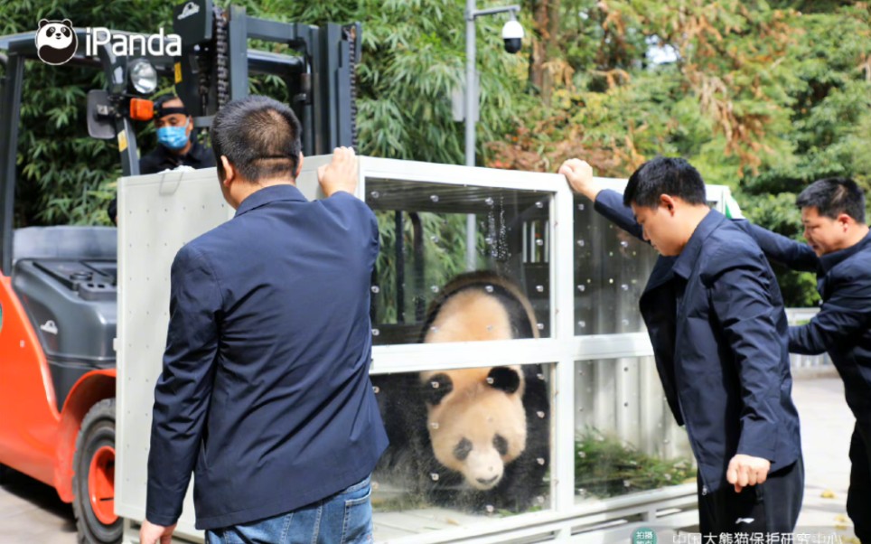 [图]【卡塔尔大熊猫公园：先睹为快】整体是一幅太极图，场馆是一座起伏连绵的山脉。离首都多哈35公里，在沿海小镇阿尔霍尔上，小镇风景美，以红树林著称。卡塔尔人喜欢来这里