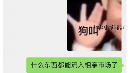 这是什么爽文?哔哩哔哩bilibili