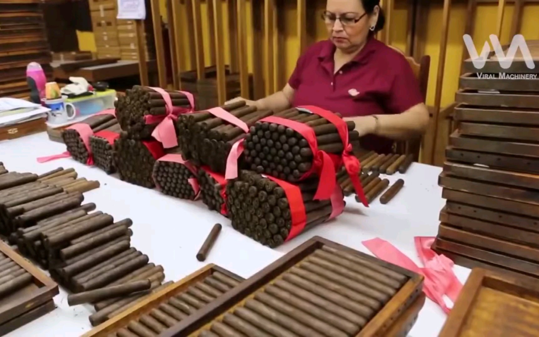 带你体验古巴雪茄制作全过程,从烟叶采摘到成品出库