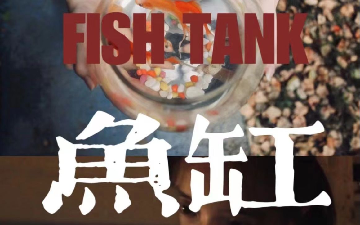 鱼缸FISH TANK哔哩哔哩bilibili