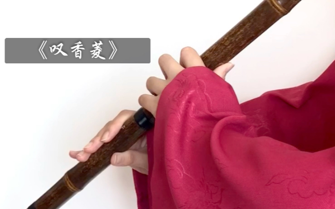 【洞箫|清吹】《叹香菱》-然此一人岂可不入园哉_哔哩哔哩_bilibili