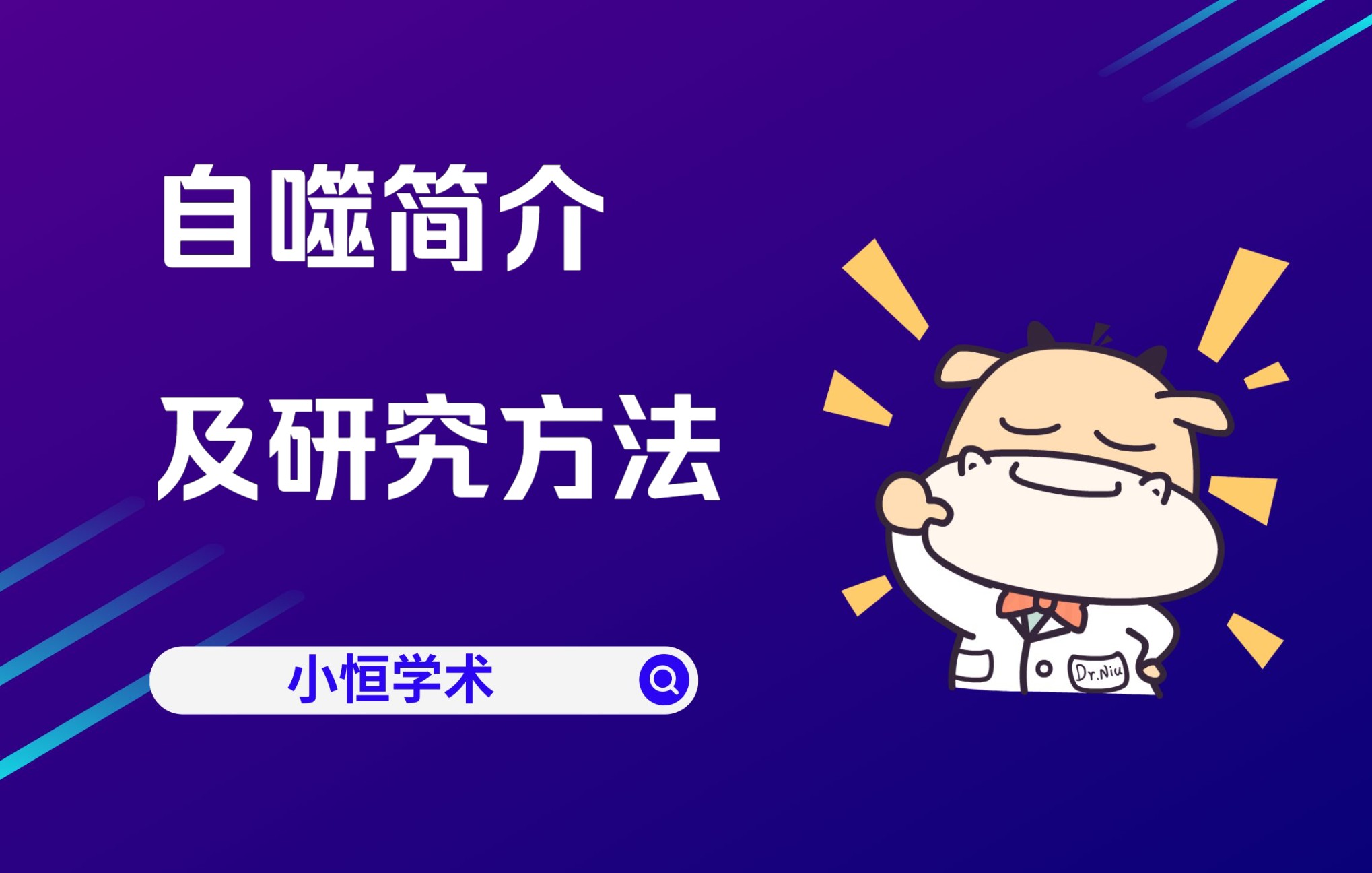 小恒学术自噬简介及研究方法哔哩哔哩bilibili