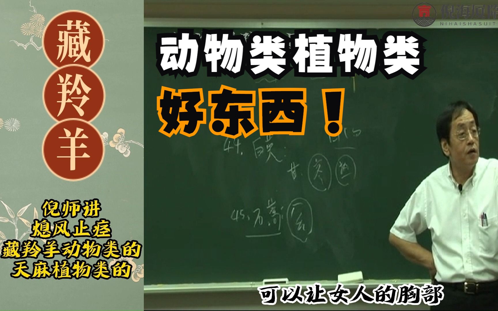 倪师讲 息风止痉 藏羚羊是动物类的 天麻是植物类的哔哩哔哩bilibili