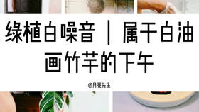 荷兰进口白油画竹芋 哔哩哔哩 つロ干杯 Bilibili
