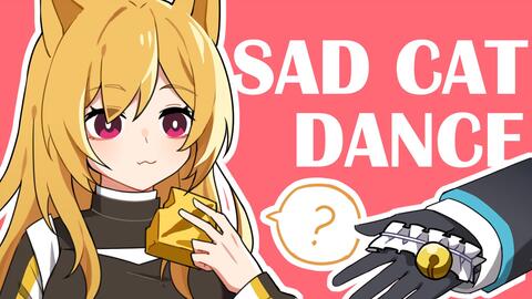 Sad Cat Dance Meme_哔哩哔哩_bilibili