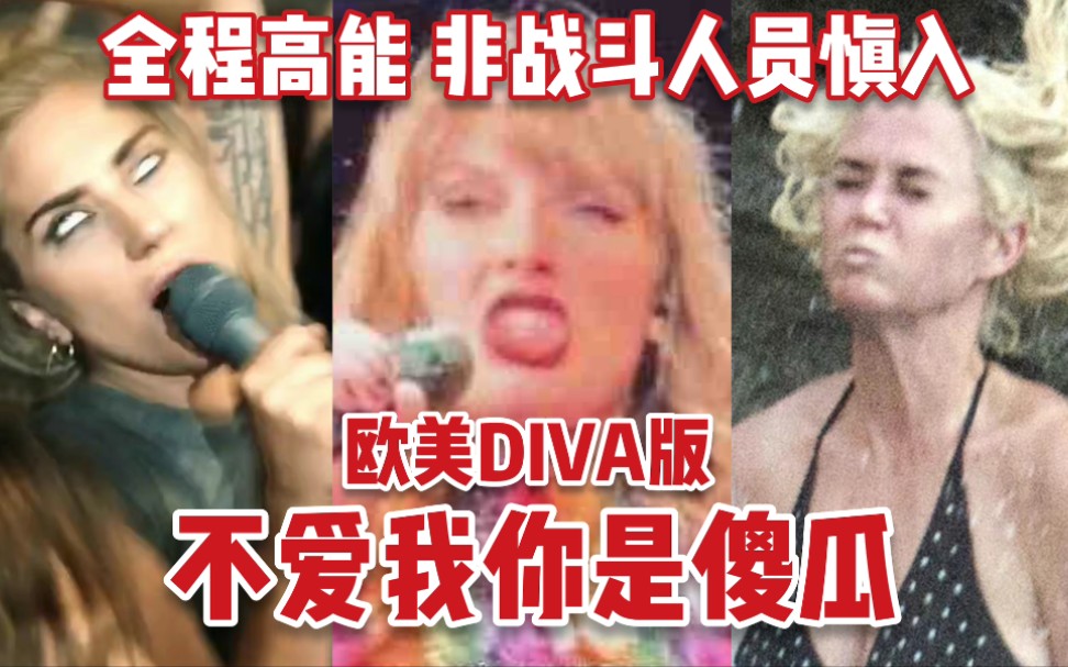 [图]【欧美DIVA版】不爱我你是傻瓜/全程小品，非战斗人员慎入!!