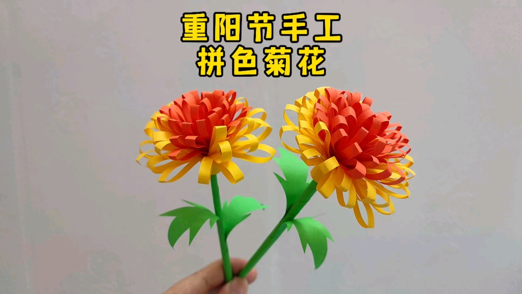 重阳节到了,制作简单又好看的拼色菊花吧哔哩哔哩bilibili