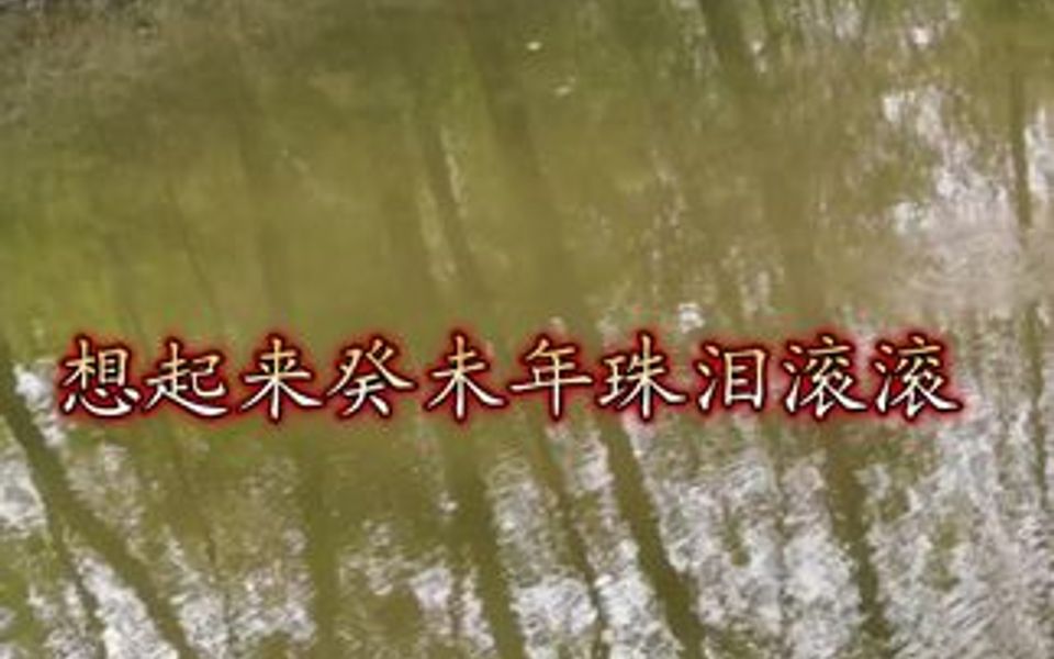 豫剧《包公赔情》哔哩哔哩bilibili