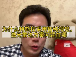 Download Video: 特斯拉为什么采用纯视觉方案，激光雷达问题在哪，小米和华为如何超越