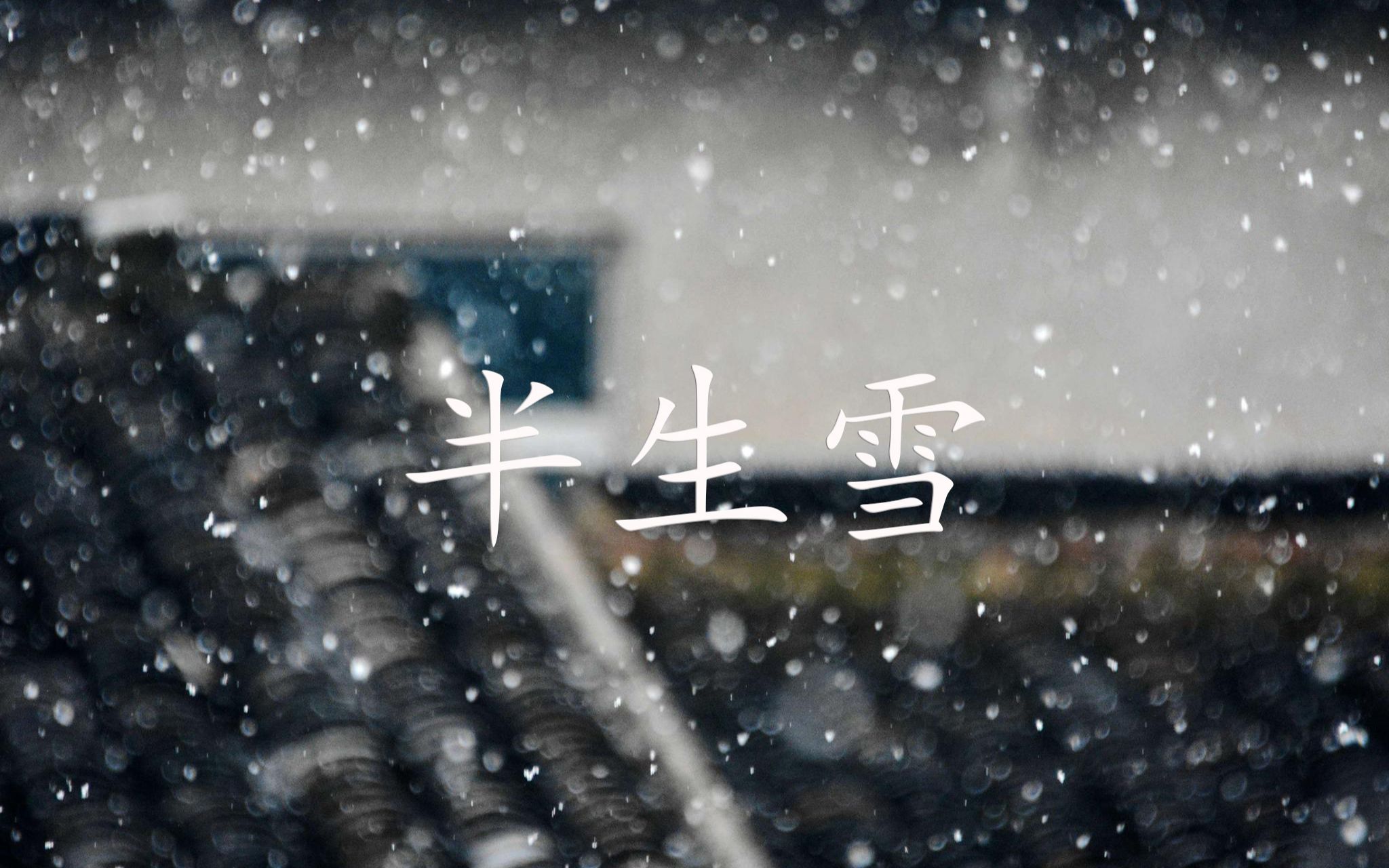 东尼指弹半生雪