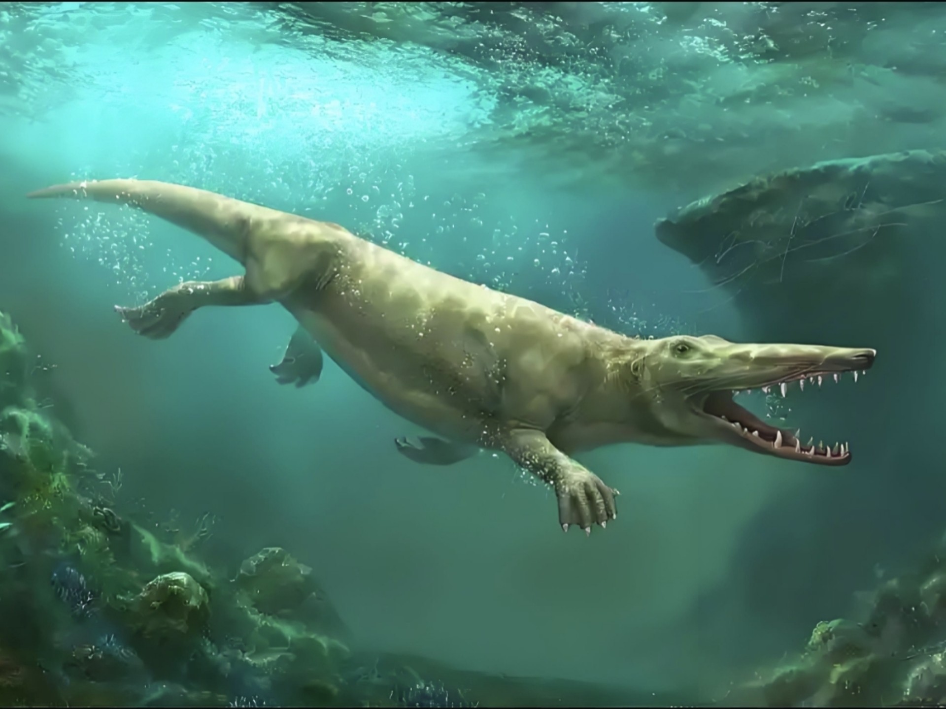 史前最早的两栖哺乳动物陆行鲸,竟然是鲸鱼的祖先!