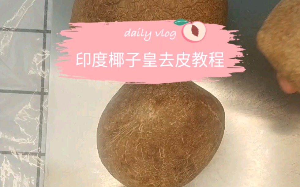 印度椰子皇去皮教程.煲汤搭配:椰子皇、羊肚菌、姬松茸、虫草花、茶树菇、红枣、排骨哔哩哔哩bilibili