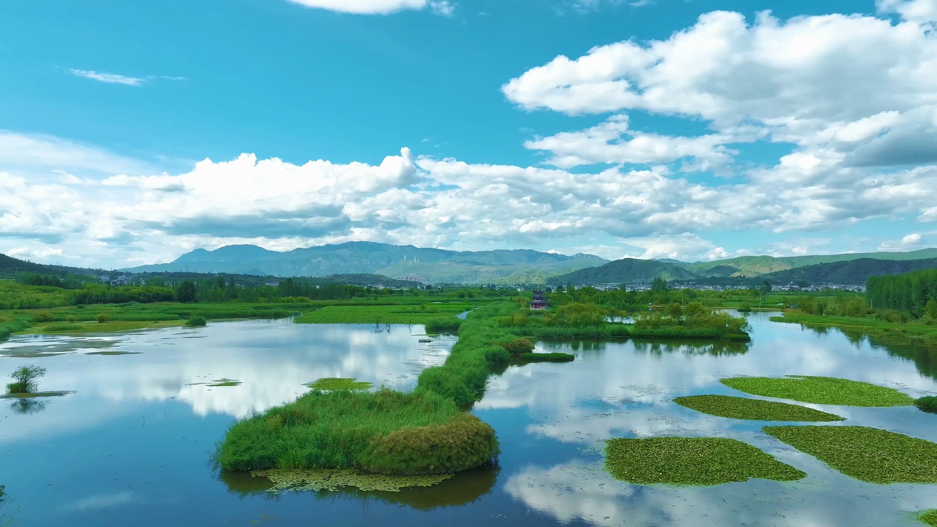 菩萨岗湿地图片