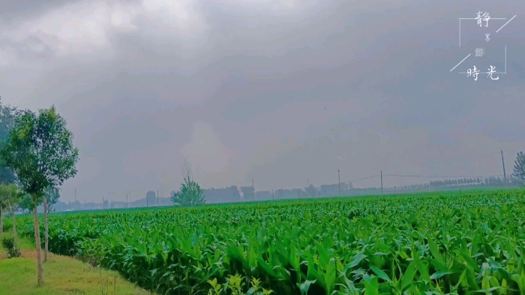 农村老家的风景