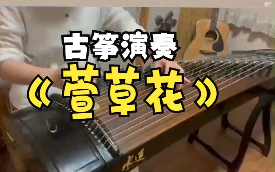 古筝演奏《萱草花 需要曲谱关注留言