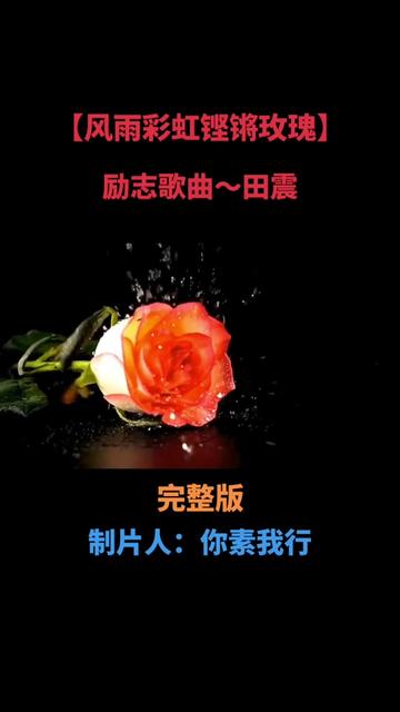 [图]经典老歌，励志歌曲《风雨彩虹铿锵玫瑰》田震：完整版，希望你喜欢🌹