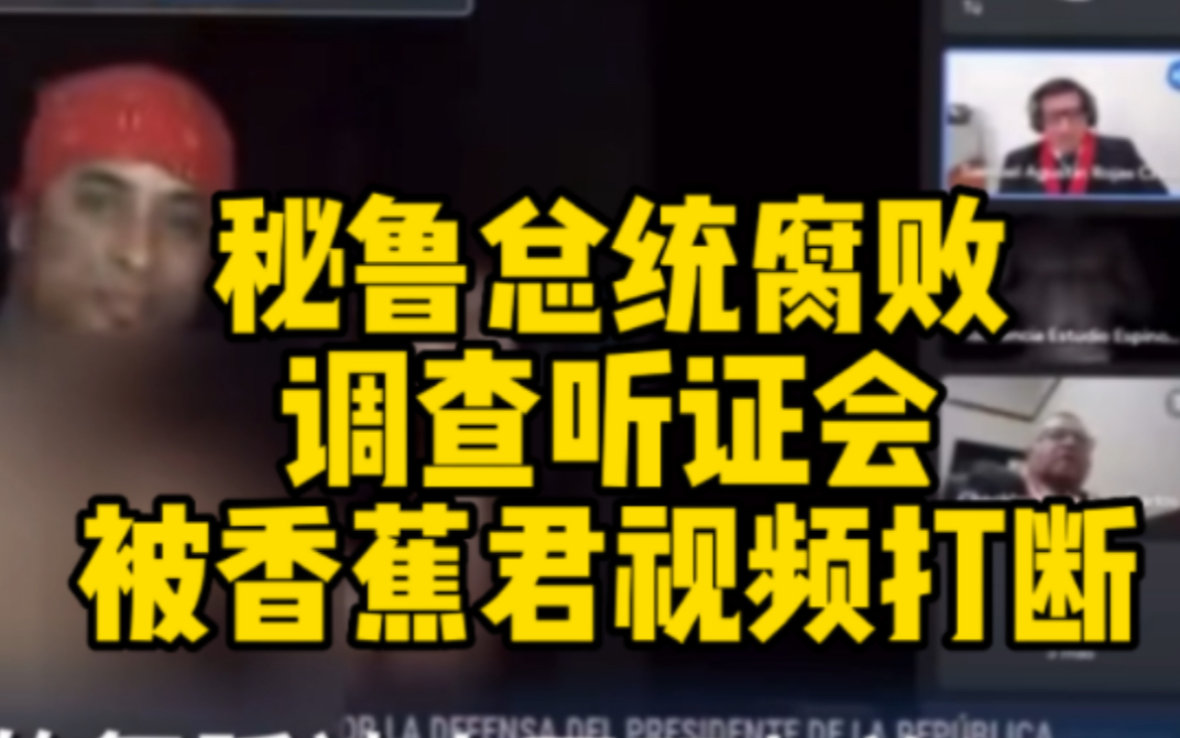 【气氛蕉灼】秘鲁总统腐败调查听证会被香蕉君视频打断哔哩哔哩bilibili