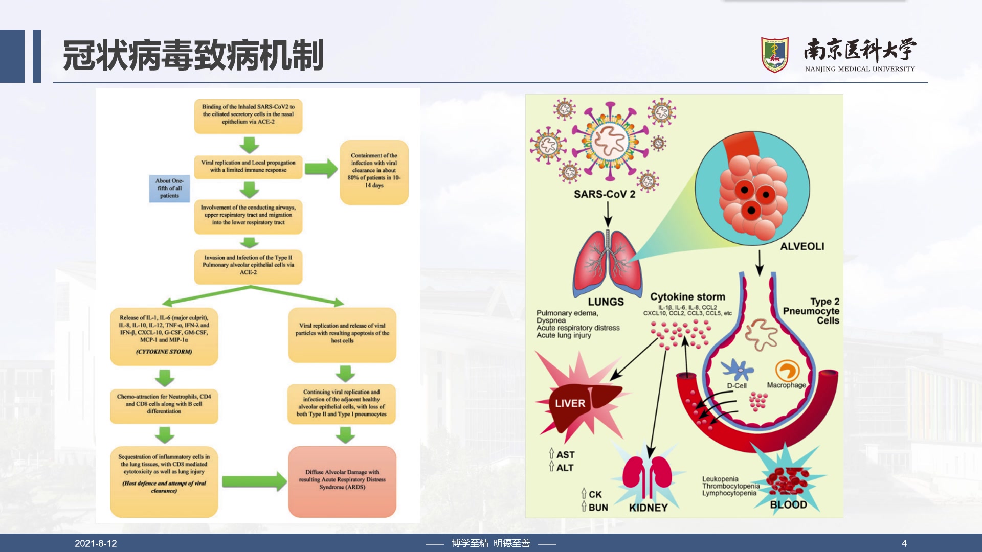 [图]COVID-19：致病机制