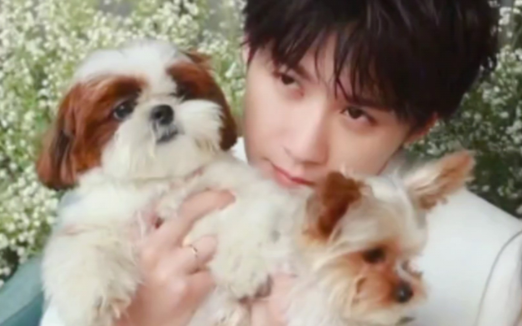 檀小呆:芭比你噘嘴了又不给亲