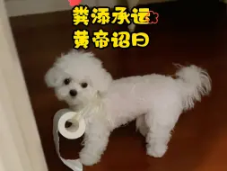 Download Video: 圣纸到！！还不快快接纸！