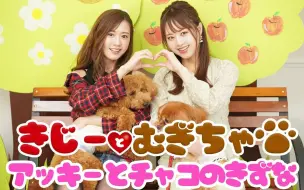 Download Video: 【希岛爱里】アッキーとチャコのきずな