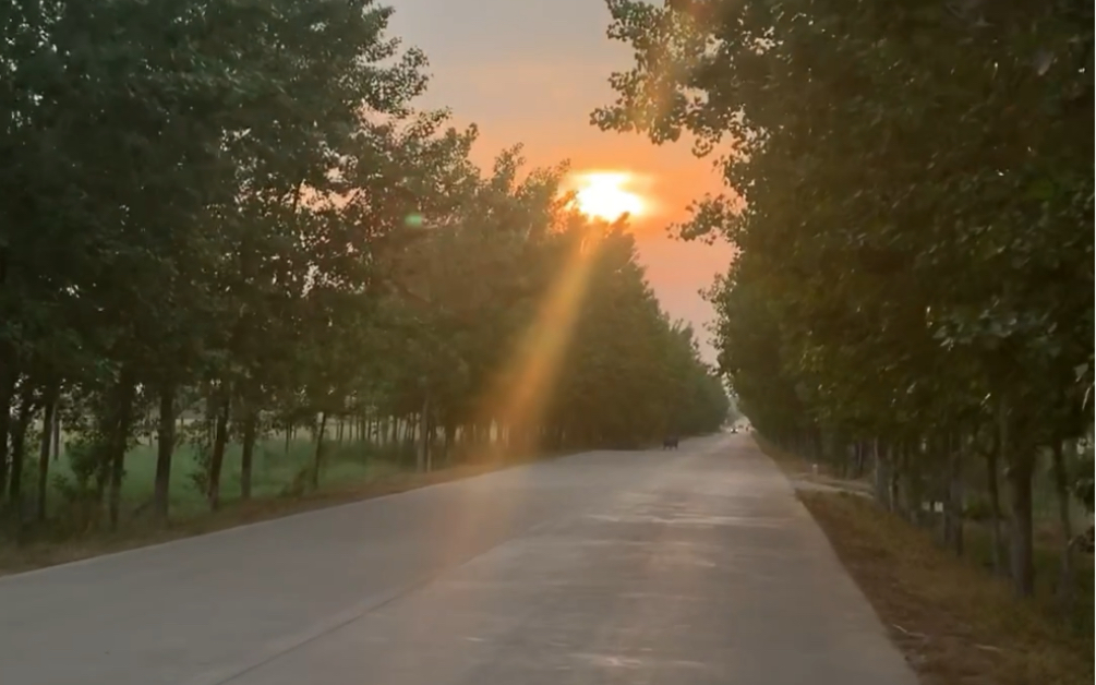 [图]那年夏天，还是挺美好的