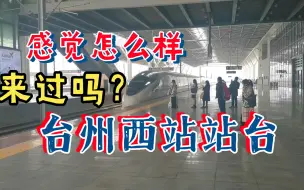 Descargar video: 你从浙江台州西站坐过高铁吗？台州西站站台人数还是蛮多的