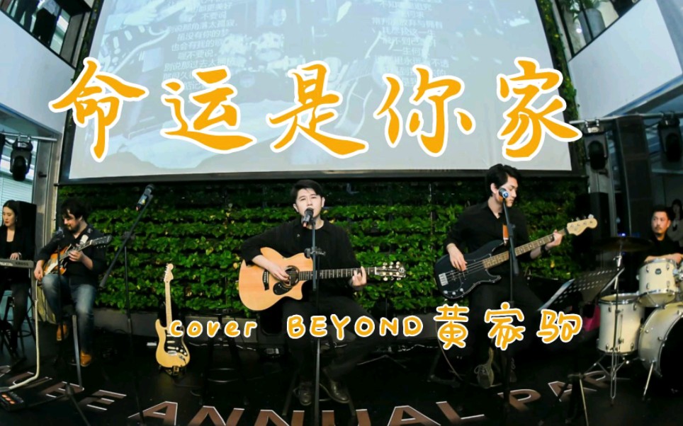 又到了纪念家驹的六月,命运是你家.