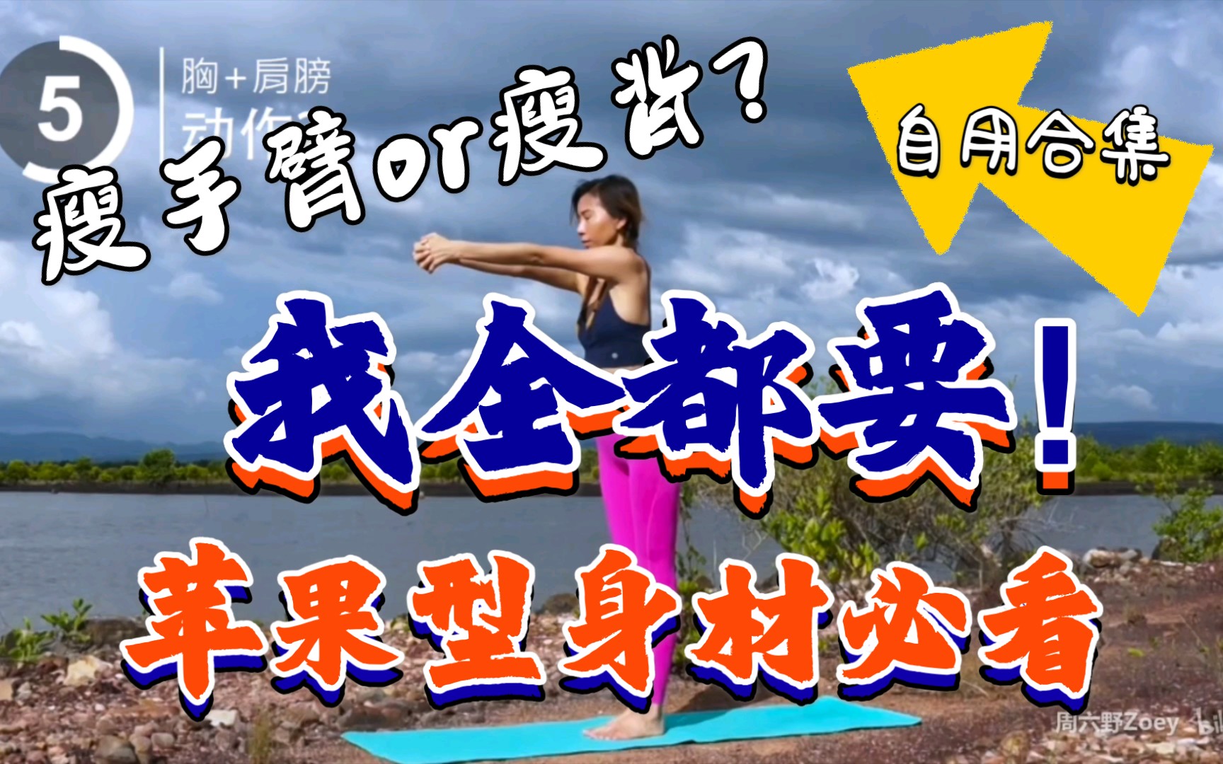 苹果型自用合集周六野美丽芭蕾韩小四瘦手臂圆肩驼背背部减脂塑型加