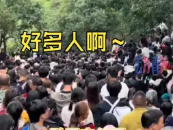 Download Video: 国庆假期贵州又被挤爆了，本地人甚至都不敢出门