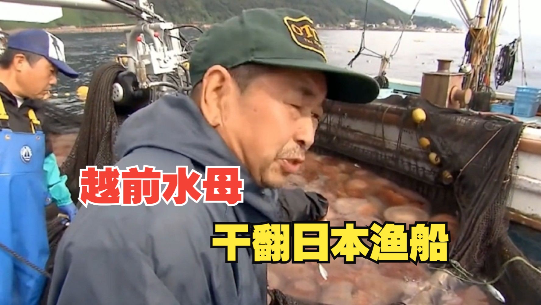 越前水母:干翻日本渔船,堵死核电站,自带抗日基因