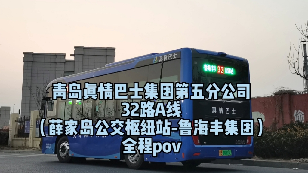 019](鲁海丰通勤线路)青岛真情巴士32路a线(鲁海丰集团-薛家岛公交