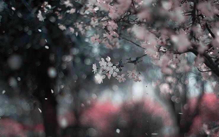 [图]任然 - 山外小楼夜听雨，风景图当背景