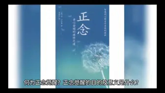 Download Video: 何为正念觉醒？正念觉醒的目的及意义是什么？如何正念觉醒？