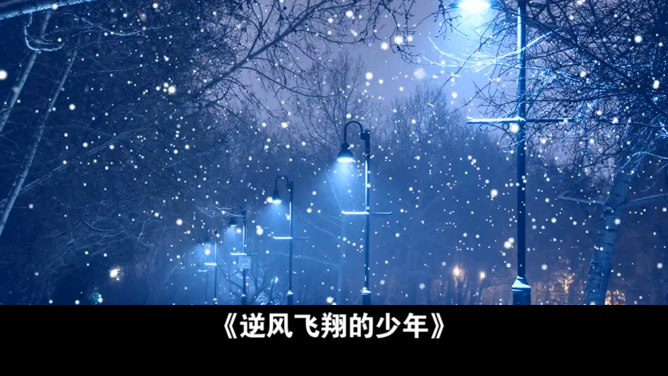 逆风飞翔的少年