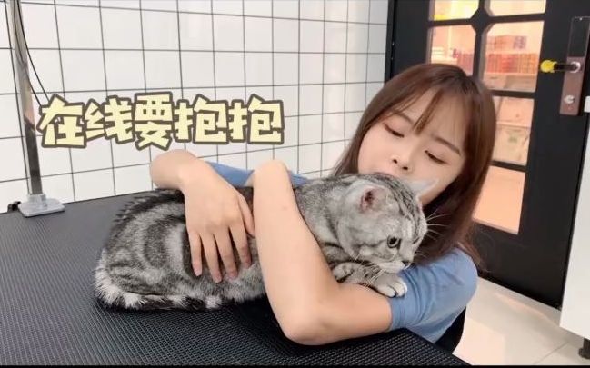 [图]【宠物探店】带猫咪去洗澡，找到一家隐蔽又专业的宠物店~