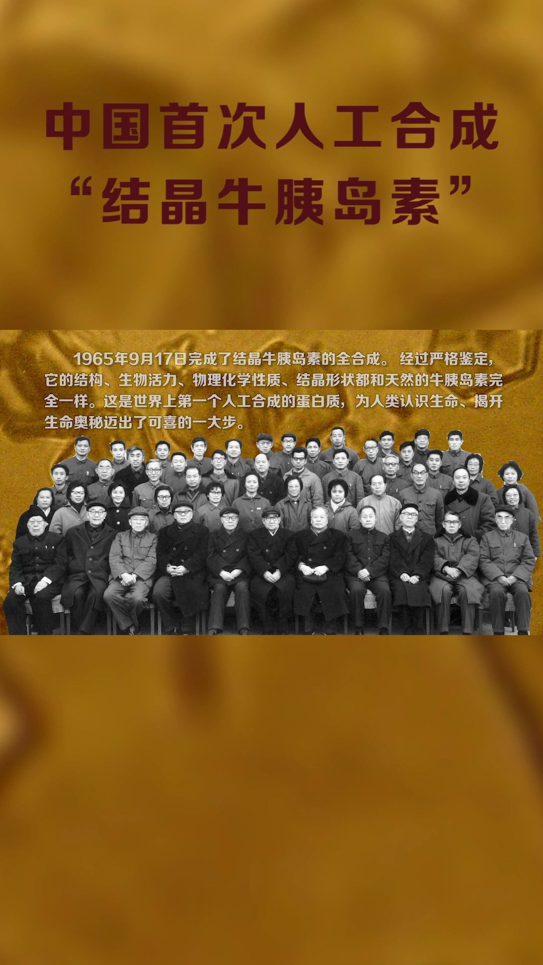 新中国科学成就人工合成牛胰岛素哔哩哔哩bilibili