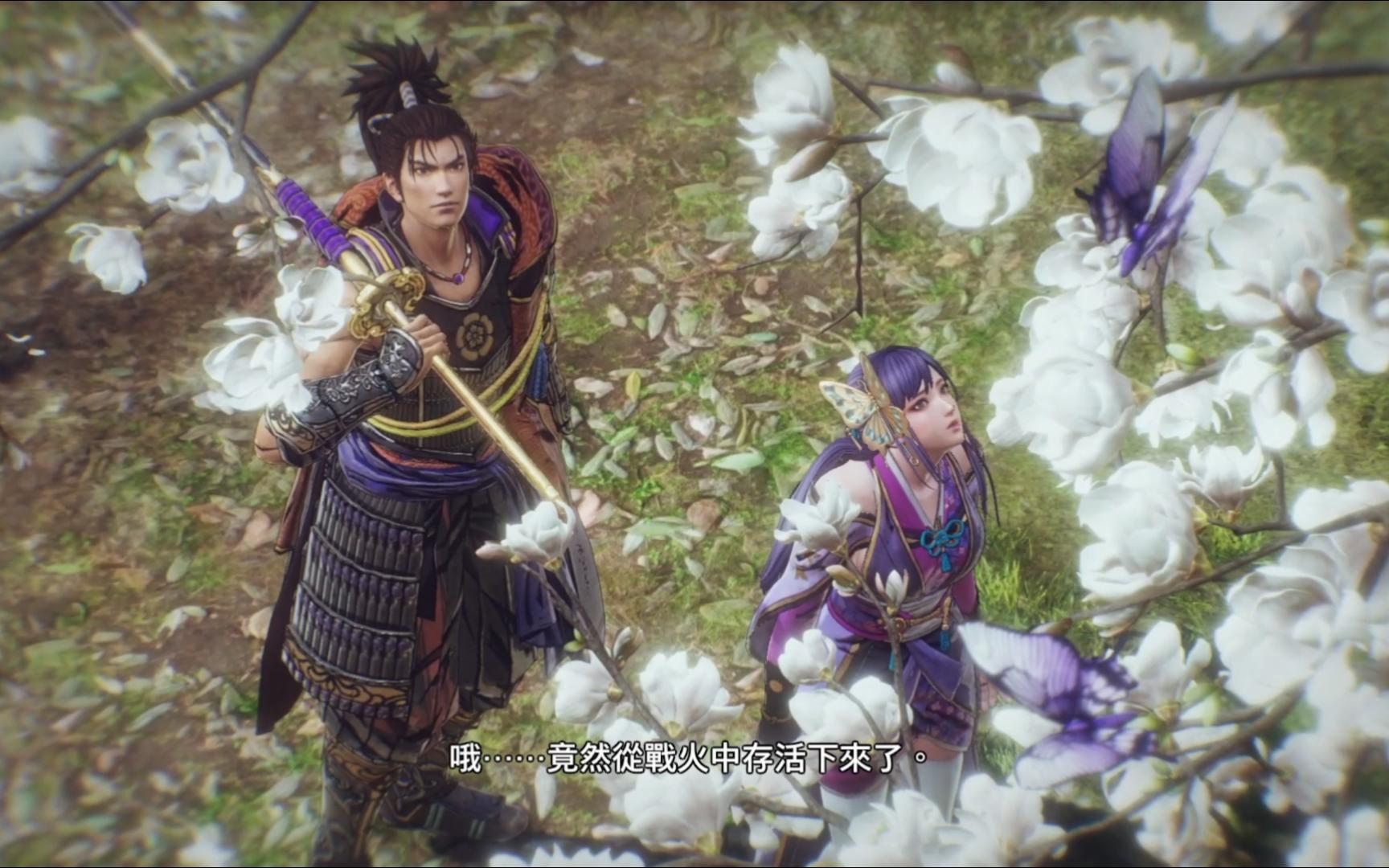 战国无双5光秀篇六条合战