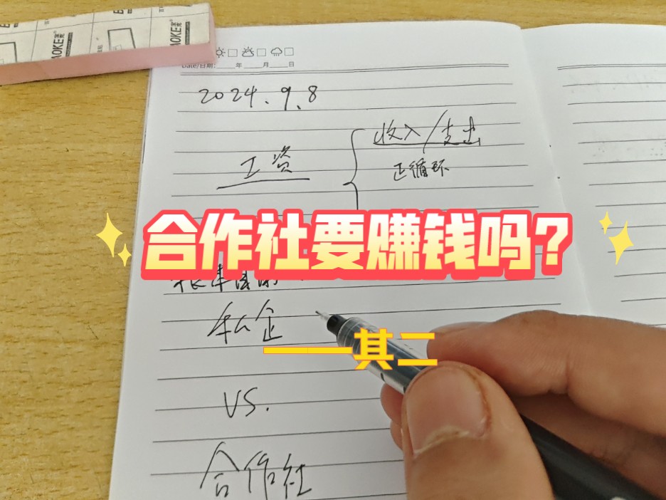 合作社要赚钱吗? 其二哔哩哔哩bilibili