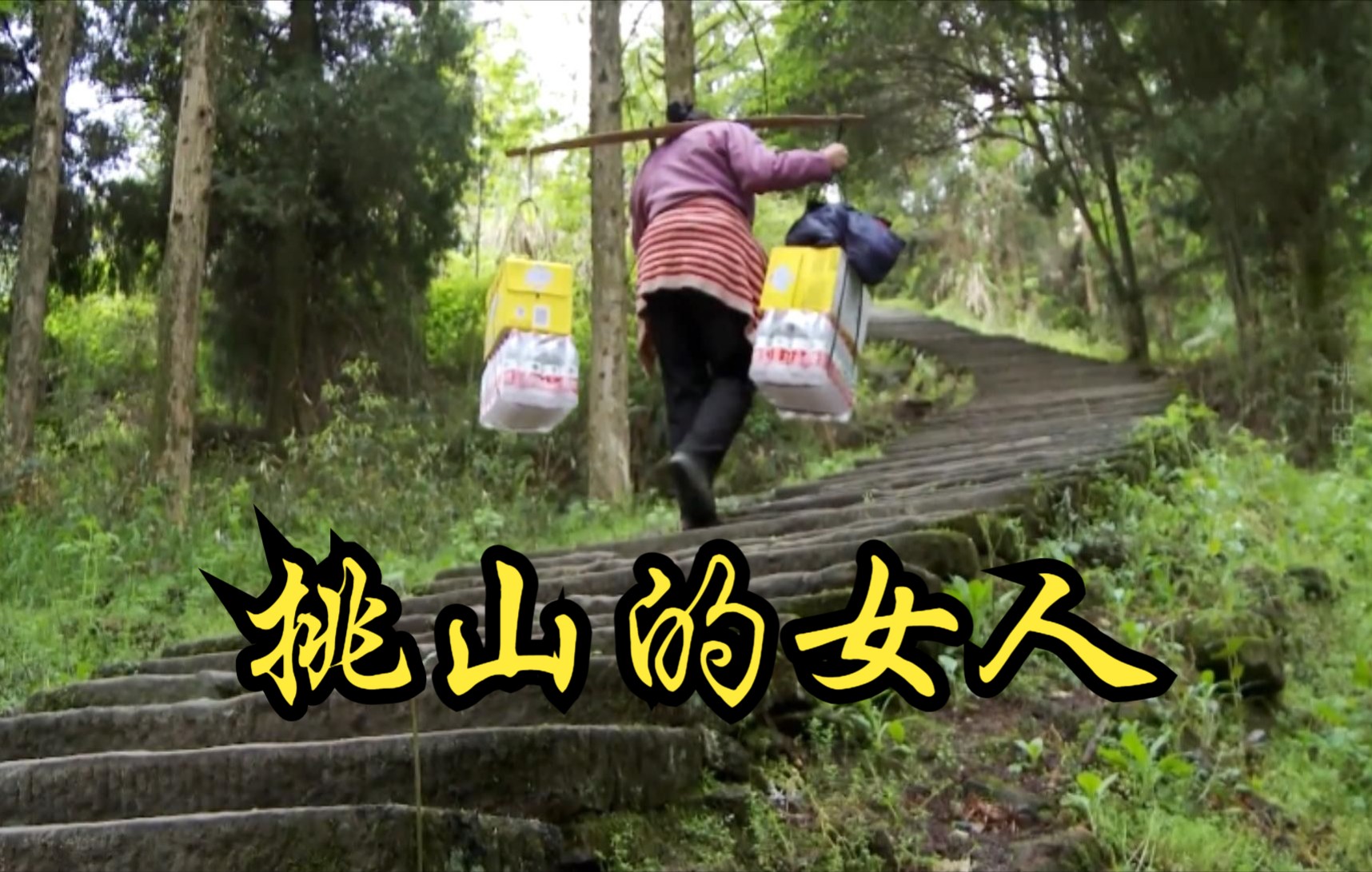 [图]【中国】【纪录片】挑山的女人 A woman picking mountains